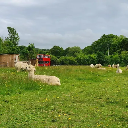 Double Decker Bus On An Alpaca Farm Sleeps 8, 5 Mins Drive To Dartmoor Villa Bovey Tracey Exterior photo