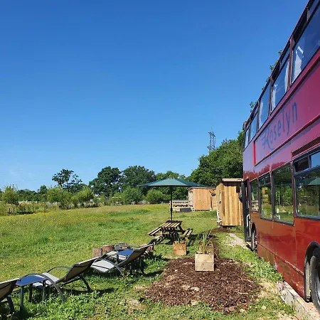 Double Decker Bus On An Alpaca Farm Sleeps 8, 5 Mins Drive To Dartmoor Villa Bovey Tracey Exterior photo