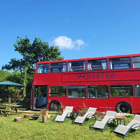 Double Decker Bus On An Alpaca Farm Sleeps 8, 5 Mins Drive To Dartmoor Villa Bovey Tracey Exterior photo