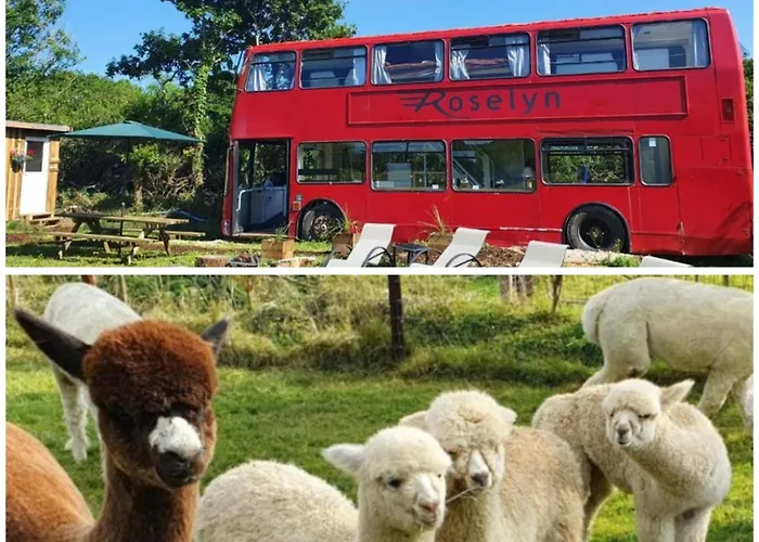 Double Decker Bus On An Alpaca Farm Sleeps 8, 5 Mins Drive To Dartmoor