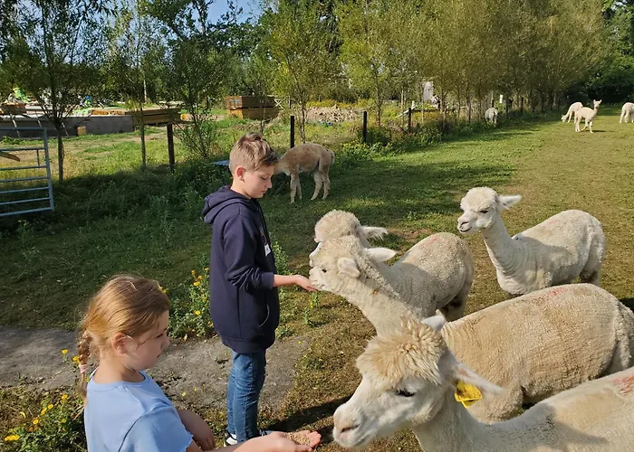 Double Decker Bus On An Alpaca Farm Sleeps 8, 5 Mins Drive To Dartmoor