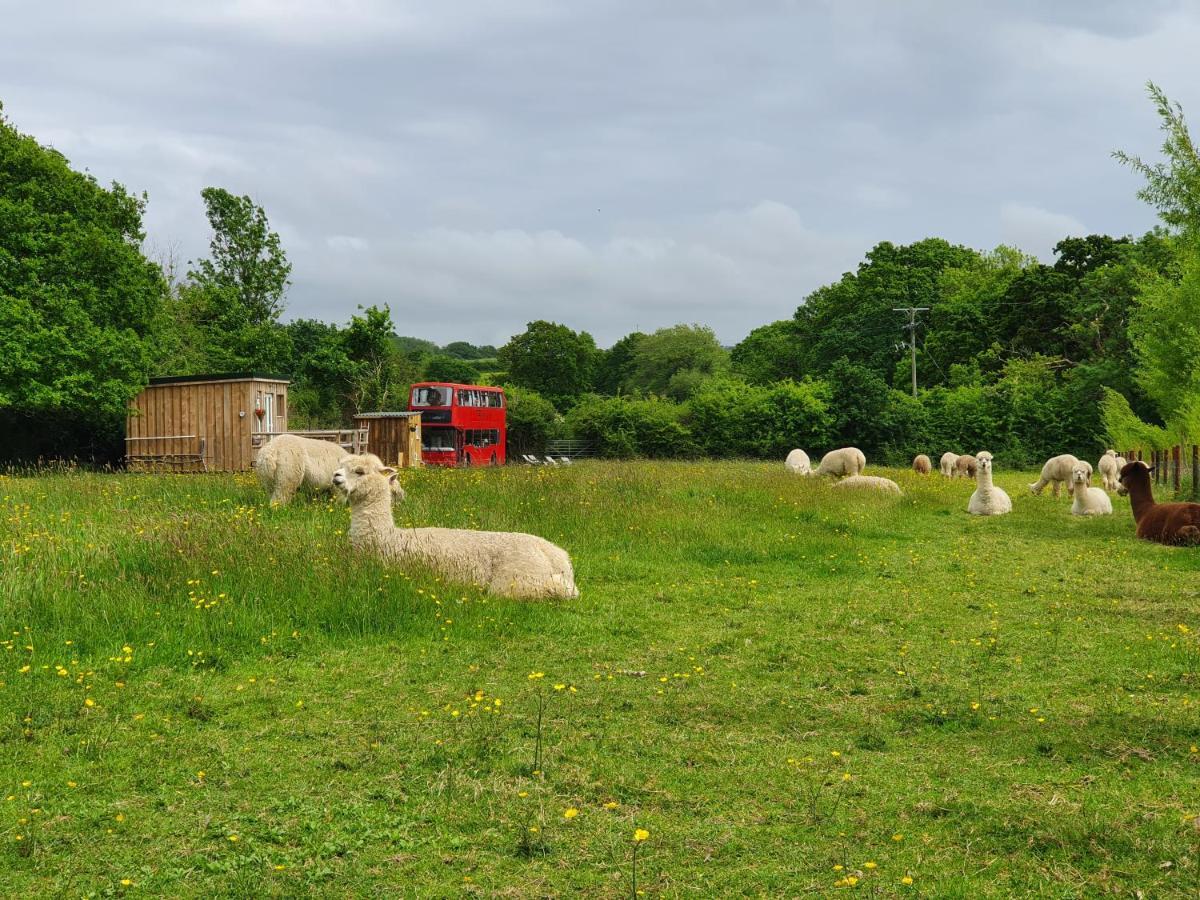 Double Decker Bus On An Alpaca Farm Sleeps 8, 5 Mins Drive To Dartmoor Holiday home Bovey Tracey