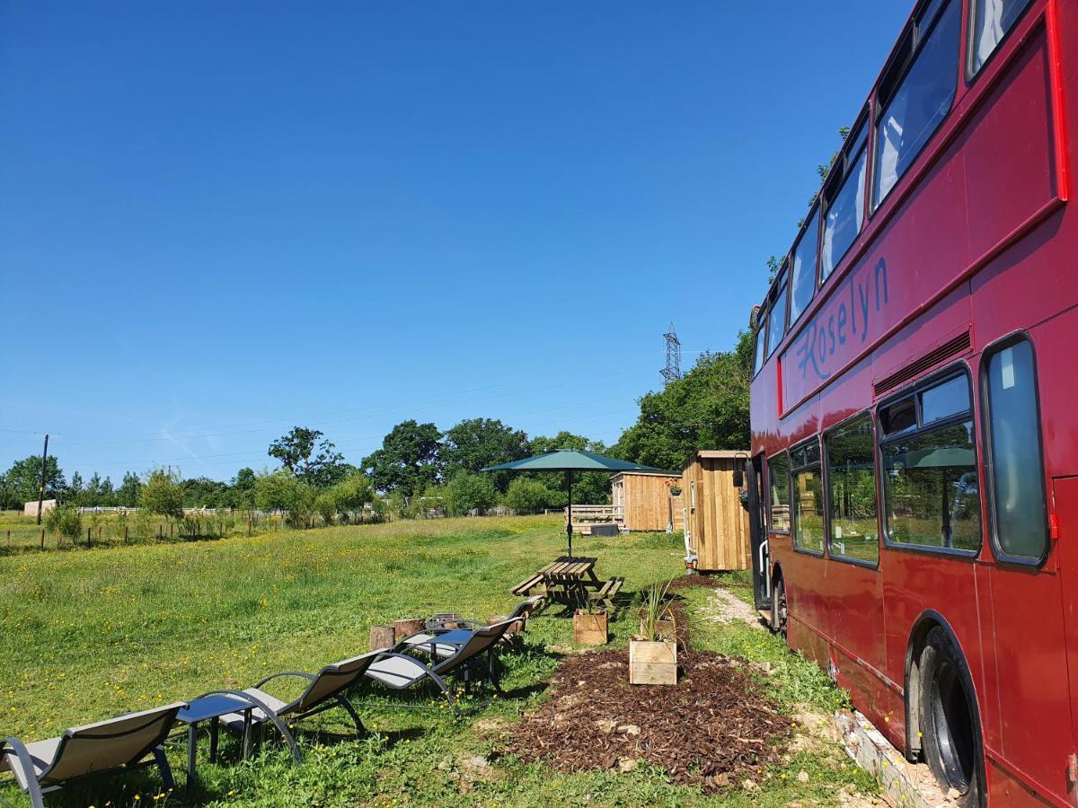 Double Decker Bus On An Alpaca Farm Sleeps 8, 5 Mins Drive To Dartmoor * Bovey Tracey