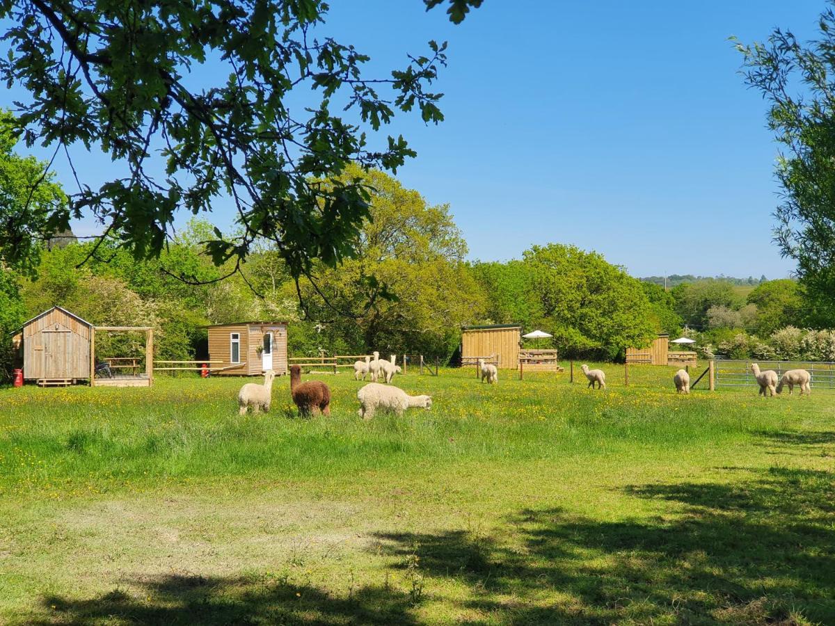Holiday home Double Decker Bus On An Alpaca Farm Sleeps 8, 5 Mins Drive To Dartmoor Bovey Tracey