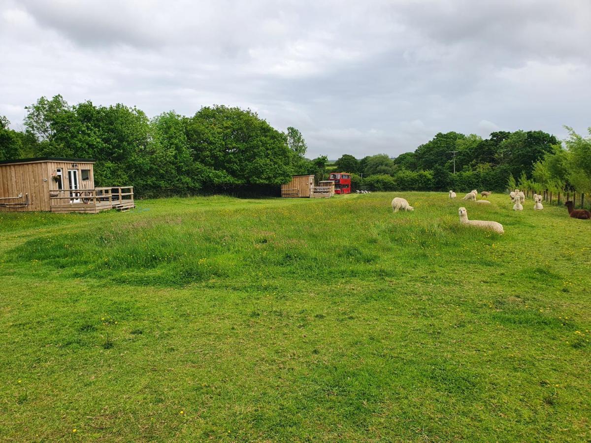 Holiday home Double Decker Bus On An Alpaca Farm Sleeps 8, 5 Mins Drive To Dartmoor Bovey Tracey